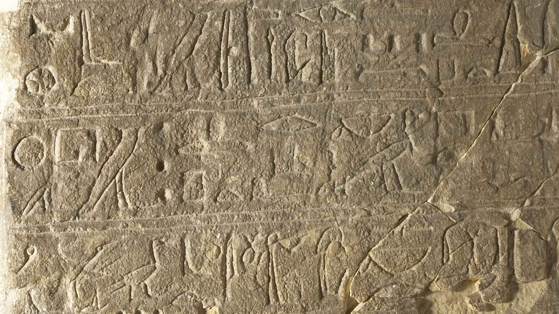 Vai alla pagina Conferenze 2022