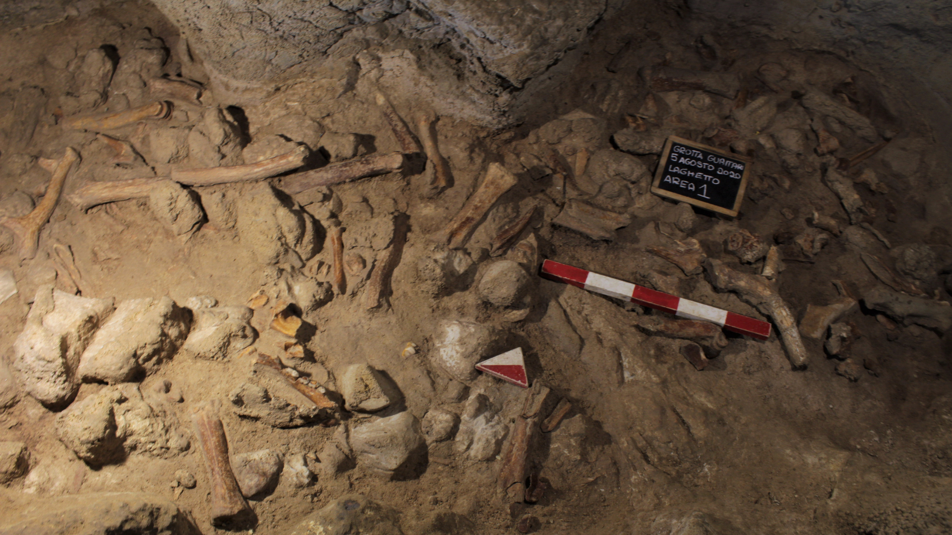 Vai alla pagina Conferenza "Grotta Guattari 1939 - 2021"