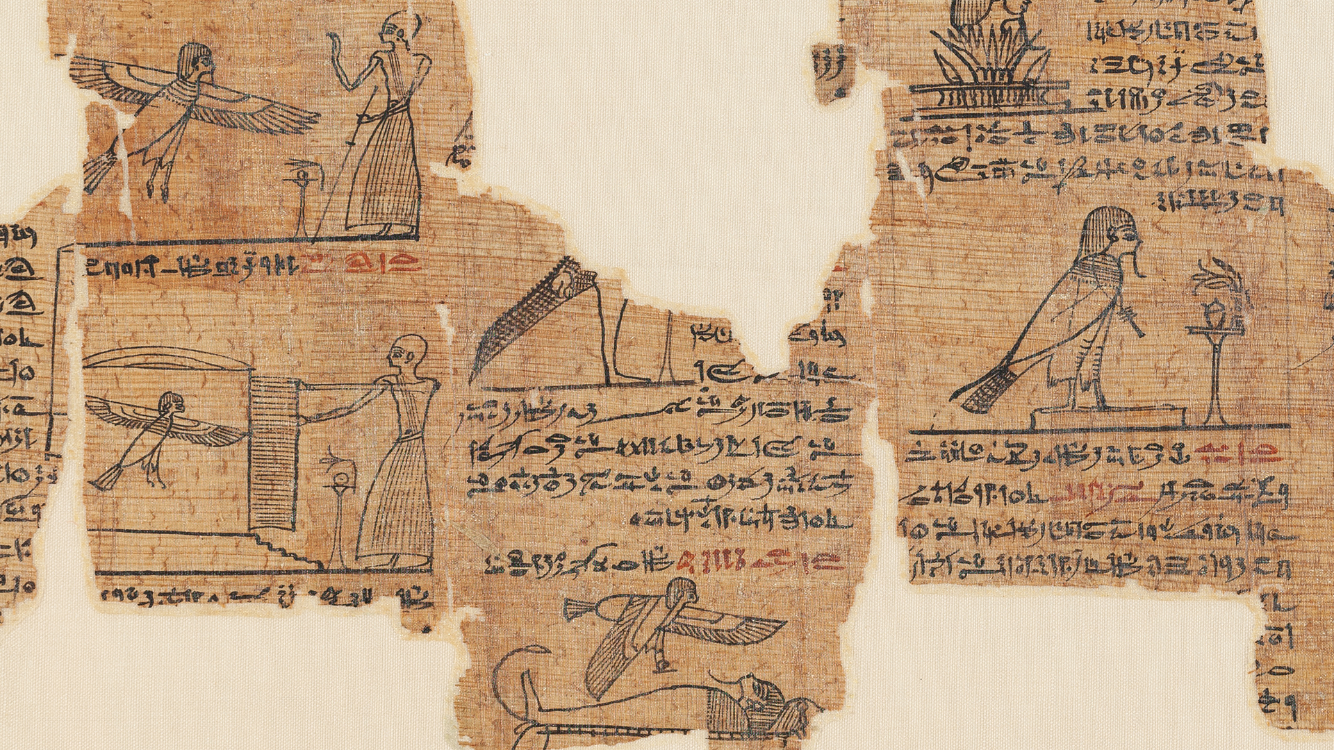 For kids | Lo zoo degli Egizi